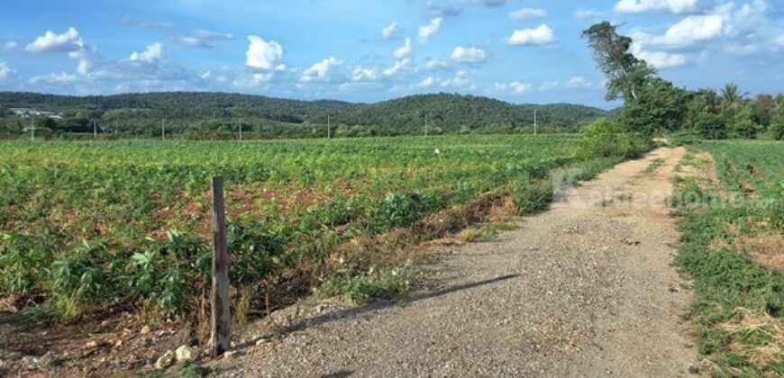 ขายที่ดินแปลงสวย 12 ไร่ 2 งาน ติดถนน 3 ด้าน เหมาะแบ่งจัดสรรขาย ปลูกบ้าน หรือทำสวนเกษตร โทร. 094-5276439