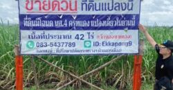 ด่วน ขายที่ดินแม่สอด-ห้วยกระโหลก จำนวน 42 ไร่ (ที่ดินมีโฉนด นส. 4 ครุฑแดงแปลงเดียวในย่านนี้)