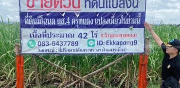 ด่วน ขายที่ดินแม่สอด-ห้วยกระโหลก จำนวน 42 ไร่ (ที่ดินมีโฉนด นส. 4 ครุฑแดงแปลงเดียวในย่านนี้)