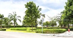 ขายที่ดินเปล่า ขนาด 239 ตรว. ภายในโครงการอารียา โคโม่ ลาดกระบัง ถ.ขุมทอง-ลำต้อยติ่ง ใกล้สนามบินสุวรรณภูมิ ,ที่สวย ถมแล้ว ขายต่ำกว่าประเมิน ราคา 4,660,000 บาท