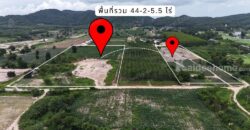 ที่ดินสวยบรรยากาศดี ราคาไม่แรง นิคมพัฒนา ระยอง 44-2-5.5 ไร่
