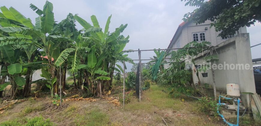 ที่ดินริมน้ำ วิวแม่น้ำท่าจีน – ถมแล้ว ล้อมรั้ว พร้อมปลูกบ้านได้ทันที!