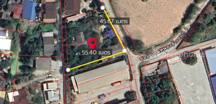 ที่ดินผังสีชมพู หนองข้างของ ชลบุรี