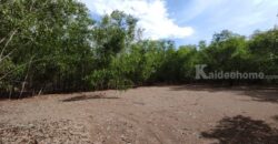 ขายที่ดิน ม.คันทรี่การ์เด้นคลองสาม คลองหลวง ปทุมธานี เหมาะทำบ้านสวนเกษตร ใกล้กรุงเทพ