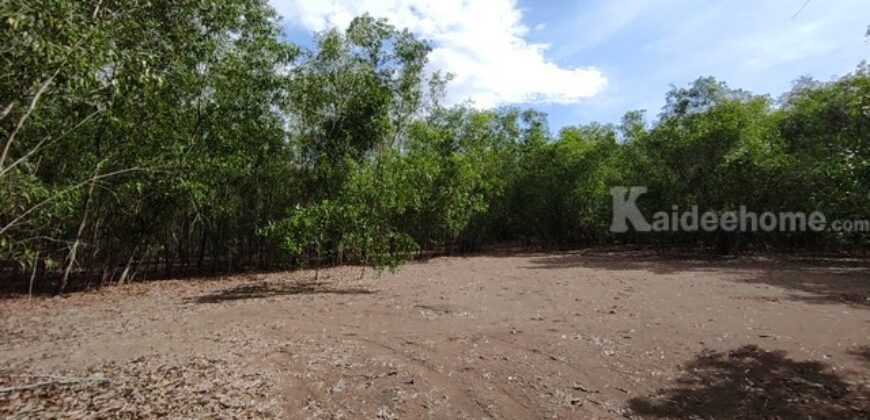 ขายที่ดิน ม.คันทรี่การ์เด้นคลองสาม คลองหลวง ปทุมธานี เหมาะทำบ้านสวนเกษตร ใกล้กรุงเทพ