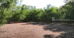 ขายที่ดิน ม.คันทรี่การ์เด้นคลองสาม คลองหลวง ปทุมธานี เหมาะทำบ้านสวนเกษตร ใกล้กรุงเทพ