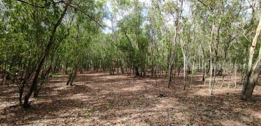 ขายที่ดิน ม.คันทรี่การ์เด้นคลองสาม คลองหลวง ปทุมธานี เหมาะทำบ้านสวนเกษตร ใกล้กรุงเทพ