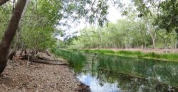 ขายที่ดิน ม.คันทรี่การ์เด้นคลองสาม คลองหลวง ปทุมธานี เหมาะทำบ้านสวนเกษตร ใกล้กรุงเทพ