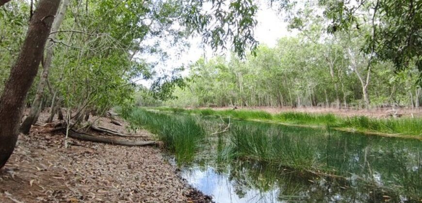 ขายที่ดิน ม.คันทรี่การ์เด้นคลองสาม คลองหลวง ปทุมธานี เหมาะทำบ้านสวนเกษตร ใกล้กรุงเทพ