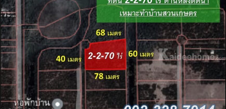 ขายที่ดิน ม.คันทรี่การ์เด้นคลองสาม คลองหลวง ปทุมธานี เหมาะทำบ้านสวนเกษตร ใกล้กรุงเทพ
