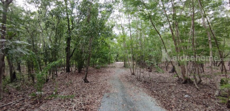 ขายที่ดิน ม.คันทรี่การ์เด้นคลองสาม คลองหลวง ปทุมธานี เหมาะทำบ้านสวนเกษตร ใกล้กรุงเทพ