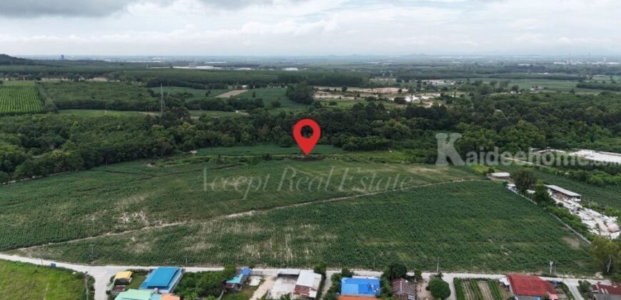 ขายที่ดินแปลงใหญ่ ห้วยโป่ง ระยอง ติดถนนสาธารณะ 43-0-19 ไร่ ขายที่ดินแปลงใหญ่ ห้วยโป่ง ระยอง ติดถนนสาธารณะ 43-0-19 ไร่