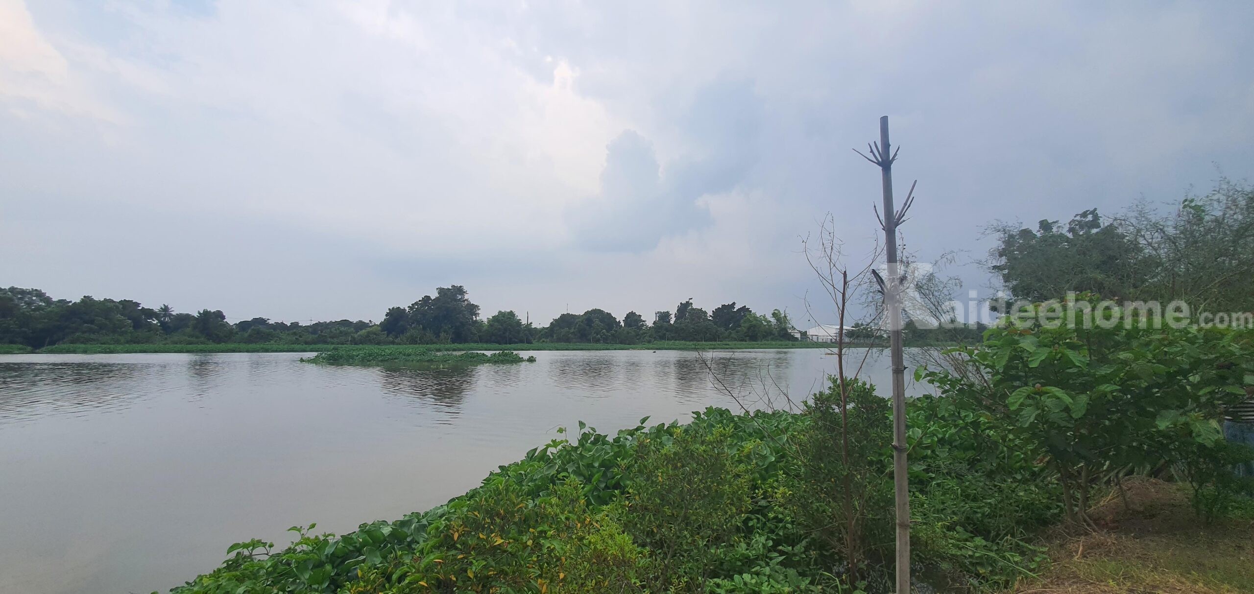 ที่ดินริมน้ำ วิวแม่น้ำท่าจีน – ถมแล้ว ล้อมรั้ว พร้อมปลูกบ้านได้ทันที!