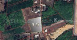 ที่ดิน โคกหล่อ เมืองตรัง ตรัง สวนปาล์ม ใกล้สนามบิน ราคาถูก