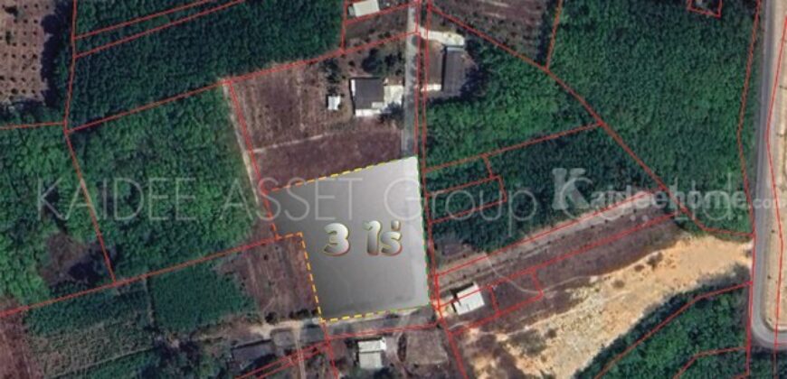 ที่ดิน โคกหล่อ เมืองตรัง ตรัง สวนปาล์ม ใกล้สนามบิน ราคาถูก