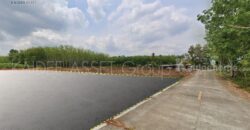 ที่ดิน โคกหล่อ เมืองตรัง ตรัง สวนปาล์ม ใกล้สนามบิน ราคาถูก