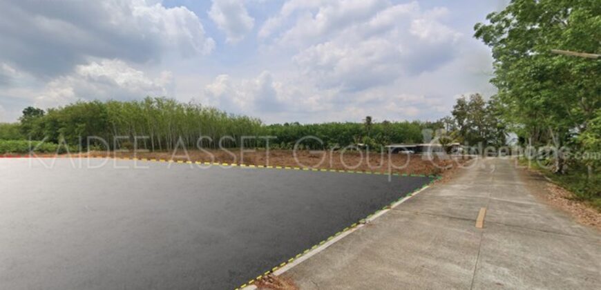 ที่ดิน โคกหล่อ เมืองตรัง ตรัง สวนปาล์ม ใกล้สนามบิน ราคาถูก