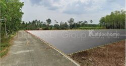 ที่ดิน โคกหล่อ เมืองตรัง ตรัง สวนปาล์ม ใกล้สนามบิน ราคาถูก