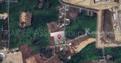 ที่ดิน โคกหล่อ เมืองตรัง ตรัง สวนปาล์ม ใกล้สนามบิน ราคาถูก