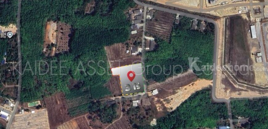 ที่ดิน โคกหล่อ เมืองตรัง ตรัง สวนปาล์ม ใกล้สนามบิน ราคาถูก