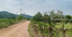 ขายที่สวนผลไม้คลองม่วง ปากช่อง นครราชสีมา ที่สวนมะม่วง ทุเรียน 29 ไร่ ขายถูกไร่ละ 1.7 ล้าน แปลงสวย วิวเขาสวยมาก ใกล้ภูเขา วัดถ้ำสันติธรรม โฉนดครุฑแดง มีผลไม้หลายอย่าง เก็บผลผลิตตัดขายทุกปี 087-9074045