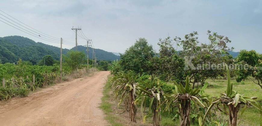 ขายที่สวนผลไม้คลองม่วง ปากช่อง นครราชสีมา ที่สวนมะม่วง ทุเรียน 29 ไร่ ขายถูกไร่ละ 1.7 ล้าน แปลงสวย วิวเขาสวยมาก ใกล้ภูเขา วัดถ้ำสันติธรรม โฉนดครุฑแดง มีผลไม้หลายอย่าง เก็บผลผลิตตัดขายทุกปี 087-9074045