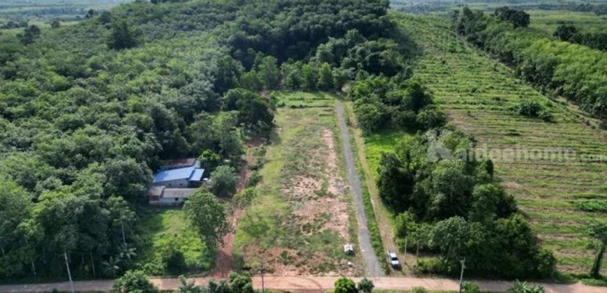 ขายที่ดินเกือบไร่ ติดถนน 3 ด้าน ใกล้เมืองหาดใหญ่ เพียง 1.5 ล้าน ผ่อนได้ ไม่คิดดอกเบี้ย