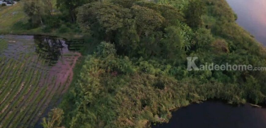 ขายที่ดินสวย ร่มรื่น มีสระน้ำ เกาะกลางน้ำ ต้นไม้ใหญ่ ใกล้ชิดธรรมชาติ อากาศดี เหมาะทำรีสอร์ทคาเฟ่ บ้านพักตากอากาศ ใกล้กรุงเทพ