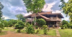 ขายที่สวนทุเรียน เขาใหญ่ ปากช่อง บ้านสวนผลไม้ คลองม่วง นครราชสีมา ที่ดิน 11 ไร่ พร้อมบ้านไม้เรือนไทย ใกล้ภูเขา วิวเขาล้อมรอบสวยมาก ที่สูง อากาศดี ดินดีอุดมสมบูรณ์มาก 087-9074045