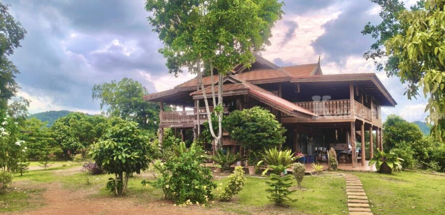 ขายที่สวนทุเรียน เขาใหญ่ ปากช่อง บ้านสวนผลไม้ คลองม่วง นครราชสีมา ที่ดิน 11 ไร่ พร้อมบ้านไม้เรือนไทย ใกล้ภูเขา วิวเขาล้อมรอบสวยมาก ที่สูง อากาศดี ดินดีอุดมสมบูรณ์มาก 087-9074045