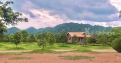 ขายที่สวนทุเรียน เขาใหญ่ ปากช่อง บ้านสวนผลไม้ คลองม่วง นครราชสีมา ที่ดิน 11 ไร่ พร้อมบ้านไม้เรือนไทย ใกล้ภูเขา วิวเขาล้อมรอบสวยมาก ที่สูง อากาศดี ดินดีอุดมสมบูรณ์มาก 087-9074045