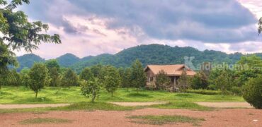 ขายที่สวนทุเรียน เขาใหญ่ ปากช่อง บ้านสวนผลไม้ คลองม่วง นครราชสีมา ที่ดิน 11 ไร่ พร้อมบ้านไม้เรือนไทย ใกล้ภูเขา วิวเขาล้อมรอบสวยมาก ที่สูง อากาศดี ดินดีอุดมสมบูรณ์มาก 087-9074045