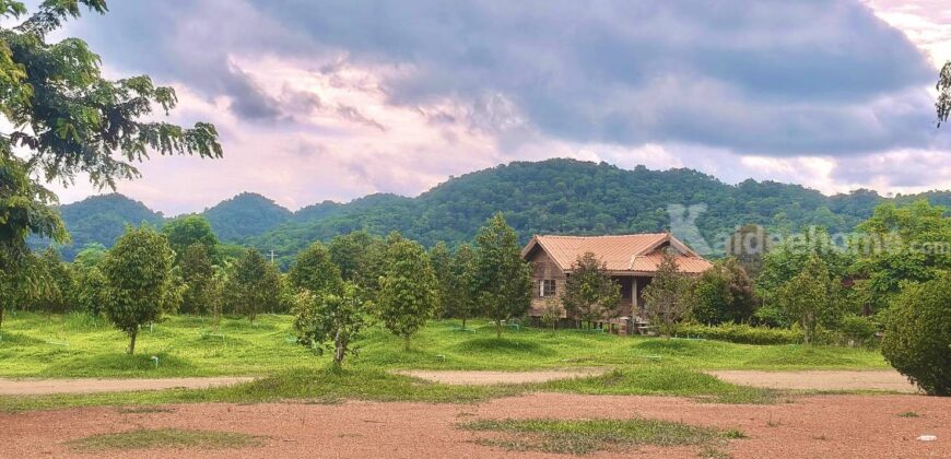 ขายที่สวนทุเรียน เขาใหญ่ ปากช่อง บ้านสวนผลไม้ คลองม่วง นครราชสีมา ที่ดิน 11 ไร่ พร้อมบ้านไม้เรือนไทย ใกล้ภูเขา วิวเขาล้อมรอบสวยมาก ที่สูง อากาศดี ดินดีอุดมสมบูรณ์มาก 087-9074045