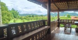 ขายที่สวนทุเรียน เขาใหญ่ ปากช่อง บ้านสวนผลไม้ คลองม่วง นครราชสีมา ที่ดิน 11 ไร่ พร้อมบ้านไม้เรือนไทย ใกล้ภูเขา วิวเขาล้อมรอบสวยมาก ที่สูง อากาศดี ดินดีอุดมสมบูรณ์มาก 087-9074045