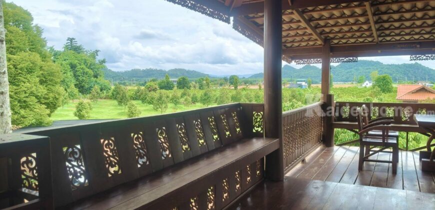 ขายที่สวนทุเรียน เขาใหญ่ ปากช่อง บ้านสวนผลไม้ คลองม่วง นครราชสีมา ที่ดิน 11 ไร่ พร้อมบ้านไม้เรือนไทย ใกล้ภูเขา วิวเขาล้อมรอบสวยมาก ที่สูง อากาศดี ดินดีอุดมสมบูรณ์มาก 087-9074045