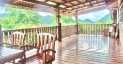 ขายที่สวนทุเรียน เขาใหญ่ ปากช่อง บ้านสวนผลไม้ คลองม่วง นครราชสีมา ที่ดิน 11 ไร่ พร้อมบ้านไม้เรือนไทย ใกล้ภูเขา วิวเขาล้อมรอบสวยมาก ที่สูง อากาศดี ดินดีอุดมสมบูรณ์มาก 087-9074045