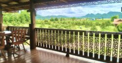 ขายที่สวนทุเรียน เขาใหญ่ ปากช่อง บ้านสวนผลไม้ คลองม่วง นครราชสีมา ที่ดิน 11 ไร่ พร้อมบ้านไม้เรือนไทย ใกล้ภูเขา วิวเขาล้อมรอบสวยมาก ที่สูง อากาศดี ดินดีอุดมสมบูรณ์มาก 087-9074045