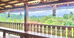 ขายที่สวนทุเรียน เขาใหญ่ ปากช่อง บ้านสวนผลไม้ คลองม่วง นครราชสีมา ที่ดิน 11 ไร่ พร้อมบ้านไม้เรือนไทย ใกล้ภูเขา วิวเขาล้อมรอบสวยมาก ที่สูง อากาศดี ดินดีอุดมสมบูรณ์มาก 087-9074045