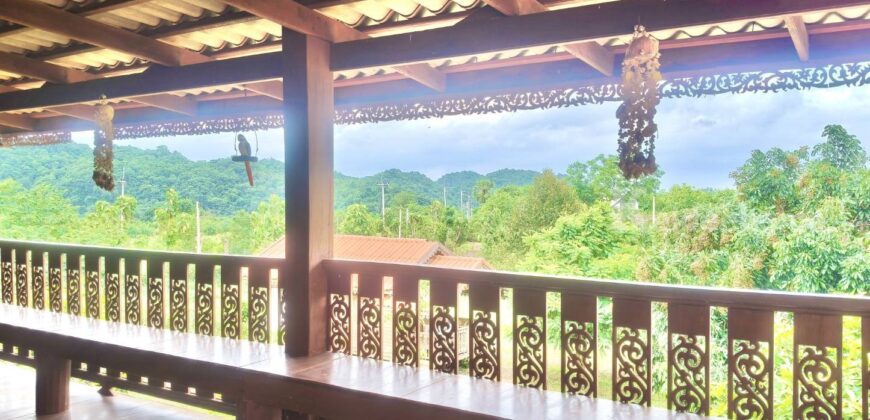 ขายที่สวนทุเรียน เขาใหญ่ ปากช่อง บ้านสวนผลไม้ คลองม่วง นครราชสีมา ที่ดิน 11 ไร่ พร้อมบ้านไม้เรือนไทย ใกล้ภูเขา วิวเขาล้อมรอบสวยมาก ที่สูง อากาศดี ดินดีอุดมสมบูรณ์มาก 087-9074045