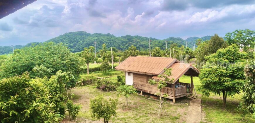 ขายที่สวนทุเรียน เขาใหญ่ ปากช่อง บ้านสวนผลไม้ คลองม่วง นครราชสีมา ที่ดิน 11 ไร่ พร้อมบ้านไม้เรือนไทย ใกล้ภูเขา วิวเขาล้อมรอบสวยมาก ที่สูง อากาศดี ดินดีอุดมสมบูรณ์มาก 087-9074045