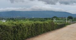 ขายที่ดินเขาใหญ่ 5 ไร่ วิวเขาใหญ่สวยมาก ที่สูงลักษณะเชิงเนิน อยู่โป่งตาลอง หมูสี สระน้ำใส ใกล้ทอสคานา ถนนพร้อมไฟพร้อมเดินทางสะดวก มีเพื่อนบ้าน ที่ดินปากช่อง นครราชสีมา 087-9074045