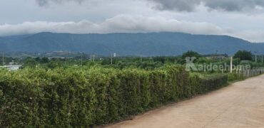 ขายที่ดินเขาใหญ่ 5 ไร่ วิวเขาใหญ่สวยมาก ที่สูงลักษณะเชิงเนิน อยู่โป่งตาลอง หมูสี สระน้ำใส ใกล้ทอสคานา ถนนพร้อมไฟพร้อมเดินทางสะดวก มีเพื่อนบ้าน ที่ดินปากช่อง นครราชสีมา 087-9074045