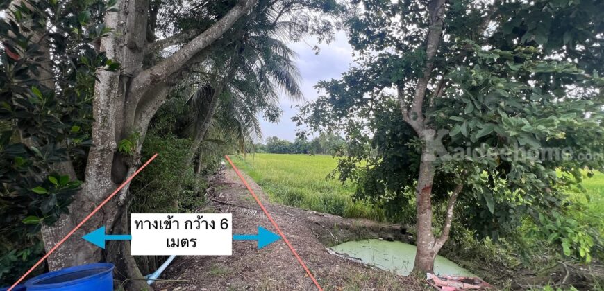 ขายด่วน ลำลูกกาคลอง 16 นครนายก
