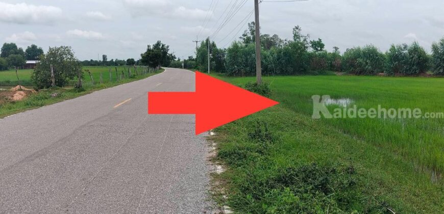 ขายด่วน! ที่นา 33 ไร่ สุวรรณภูมิ ร้อยเอ็ด ราคาดี เจ้าของขายเอง พร้อมโอน