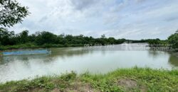 ขายที่ดิน ถนนเลียบคลองสรรพสามิต พระสมุทรเจดีย์ พื้นที่ 45-3-24 ไร่ เชิงสะพานข้ามคลองขุด-หลังขุน ราคาถูก