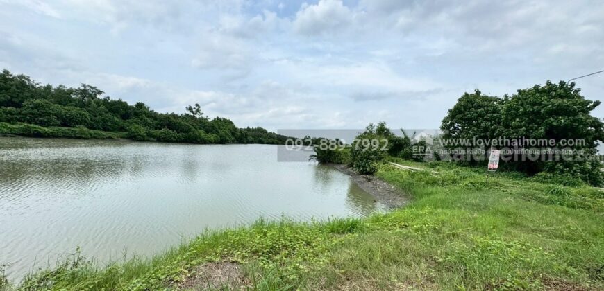 ขายที่ดิน ถนนเลียบคลองสรรพสามิต พระสมุทรเจดีย์ พื้นที่ 45-3-24 ไร่ เชิงสะพานข้ามคลองขุด-หลังขุน ราคาถูก