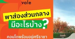ดีคอนโด เวล ศรีราชา แต่งครบ พร้อมเฟอร์ ใกล้มหาลัยเกษตร ศรีราชา มากที่สุด 240 ม. โทร 0931681685