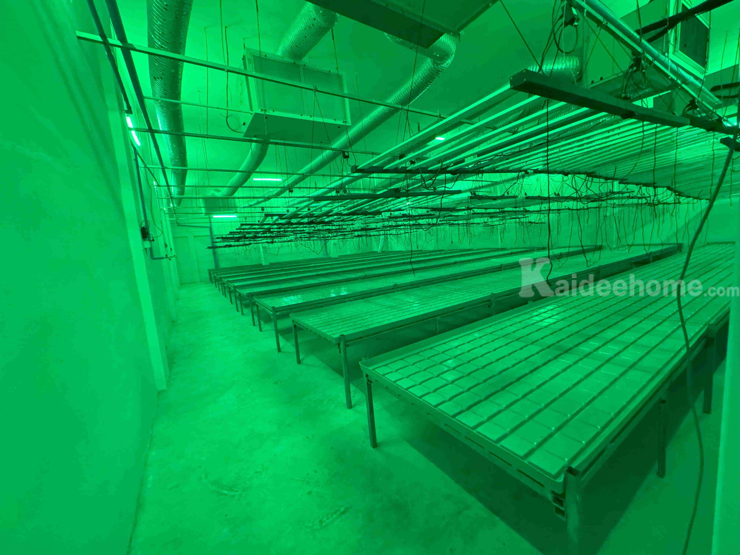 ให้เช่าโกดังพร้อมอุปกรณ์สำหรับปลูกกัญชา- ขนาด 252 ตร.ม. ย่านหลักหก ปทุมธานี