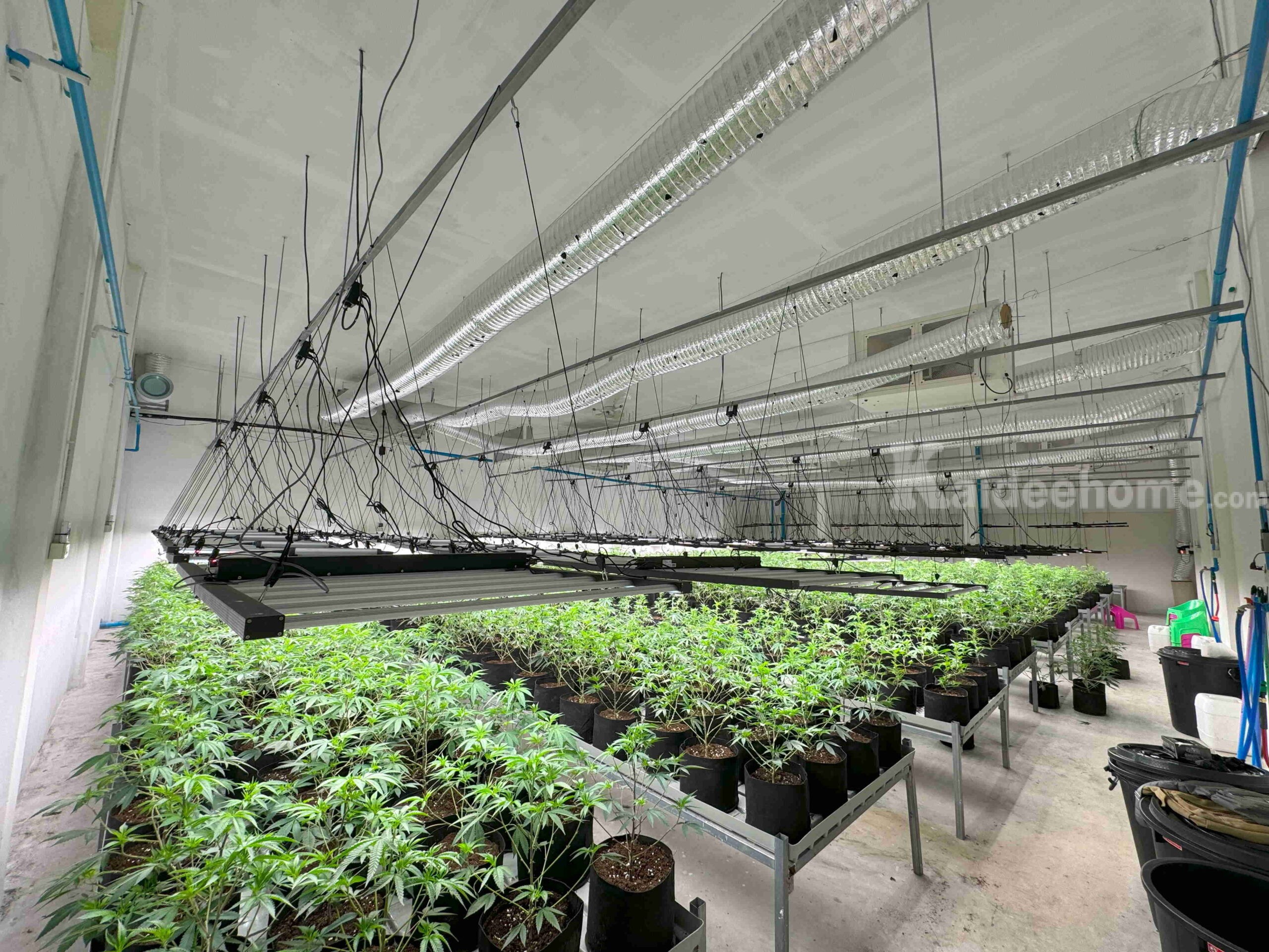 ให้เช่าโกดังพร้อมอุปกรณ์สำหรับปลูกกัญชา- ขนาด 252 ตร.ม. ย่านหลักหก ปทุมธานี
