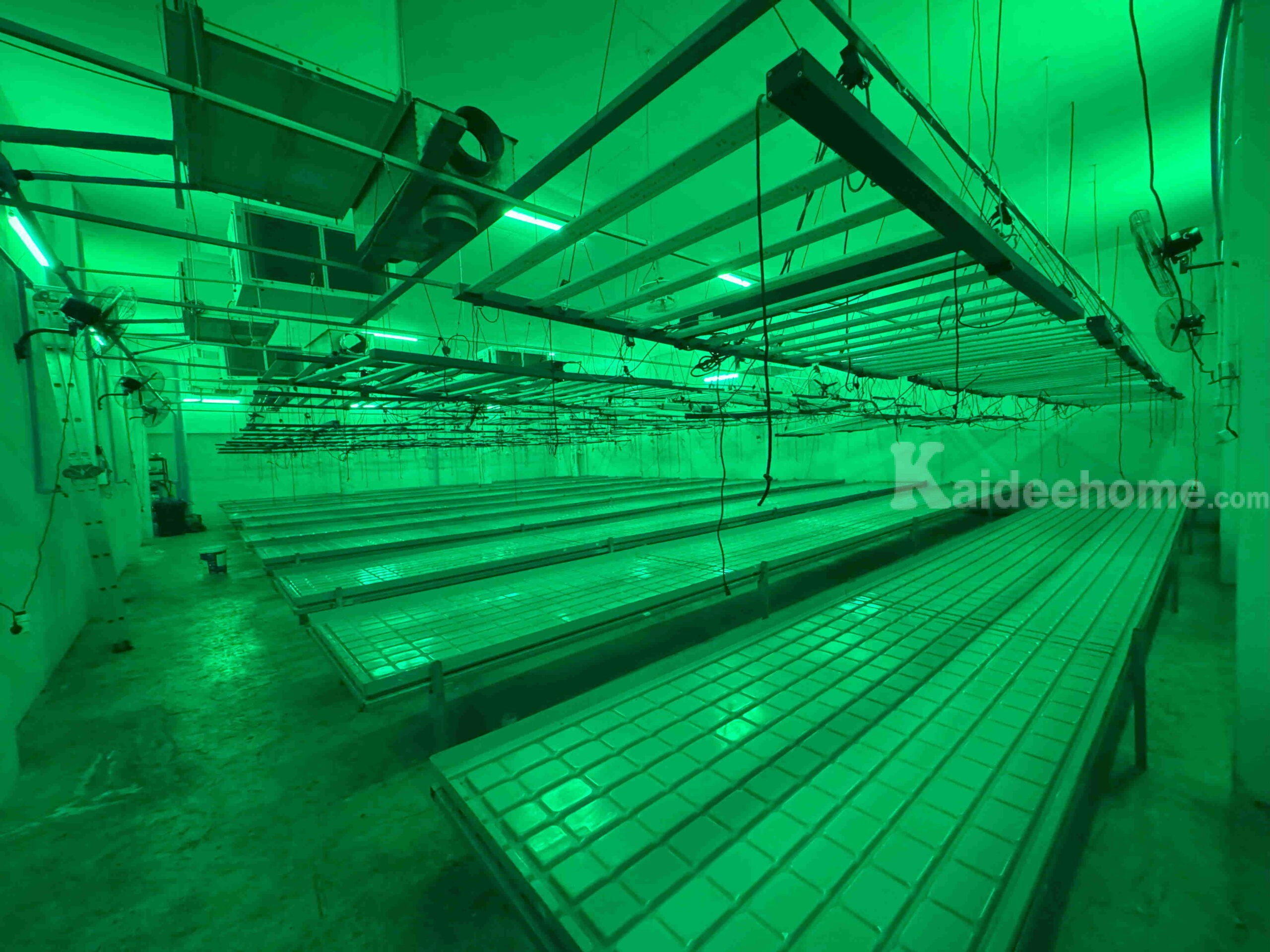 ให้เช่าโกดังพร้อมอุปกรณ์สำหรับปลูกกัญชา- ขนาด 252 ตร.ม. ย่านหลักหก ปทุมธานี